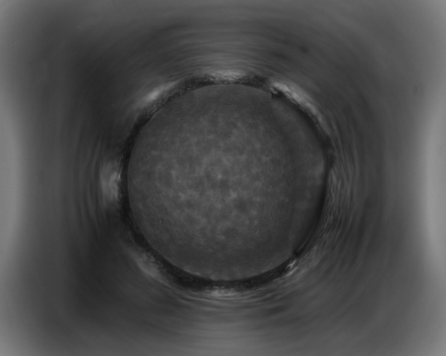 X0000087710596200705041100