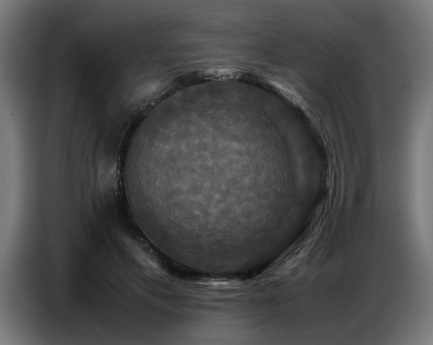 X0000087710597200705041100