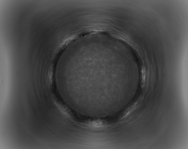 X0000087710600200705041100