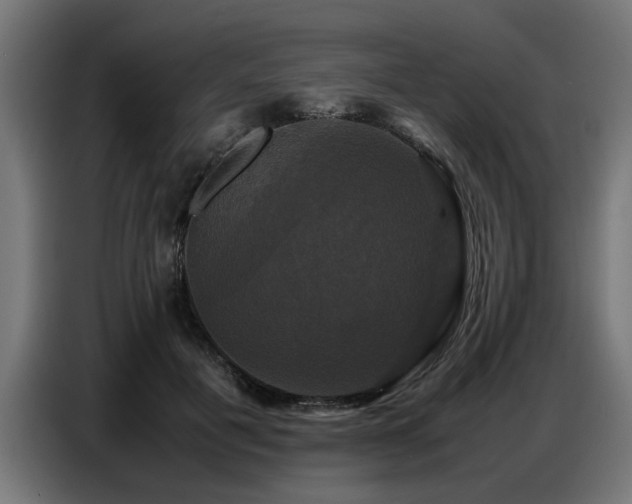 X0000087710601200705041100