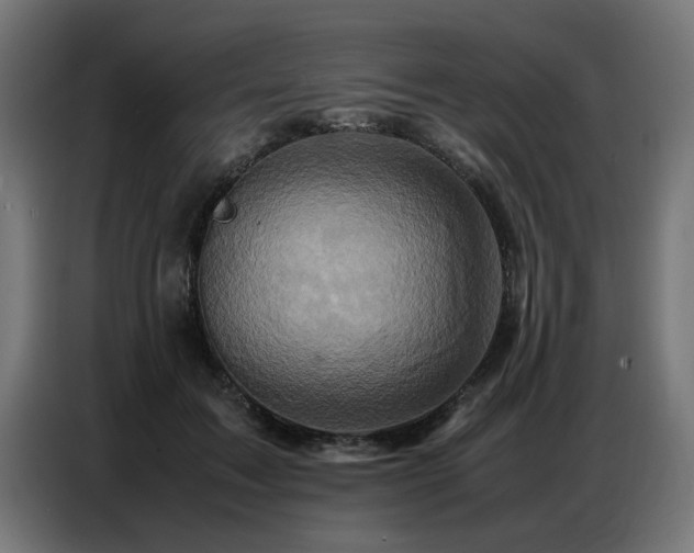X0000087710603200705041100