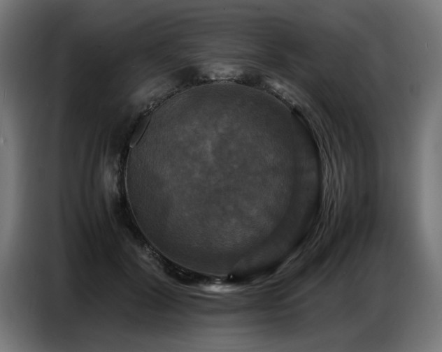 X0000087710604200705041100