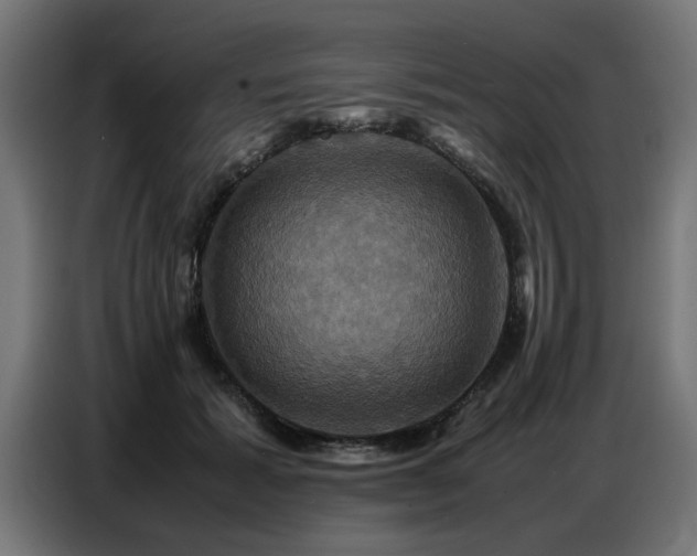 X0000087710605200705041100