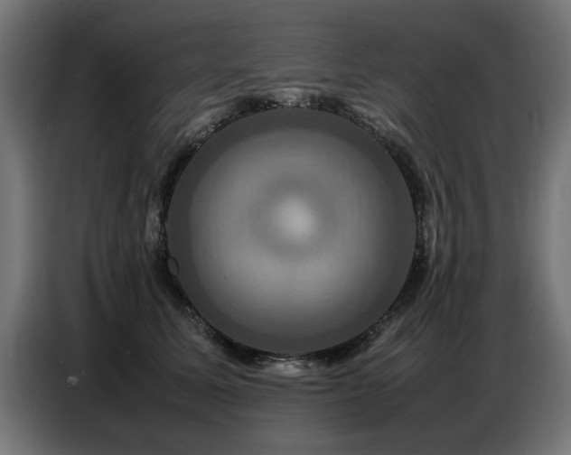 X0000087710611200705041059
