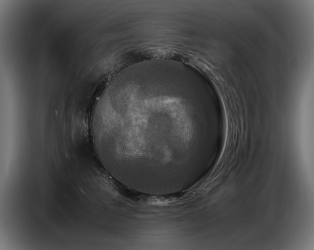 X0000087710613200705041059