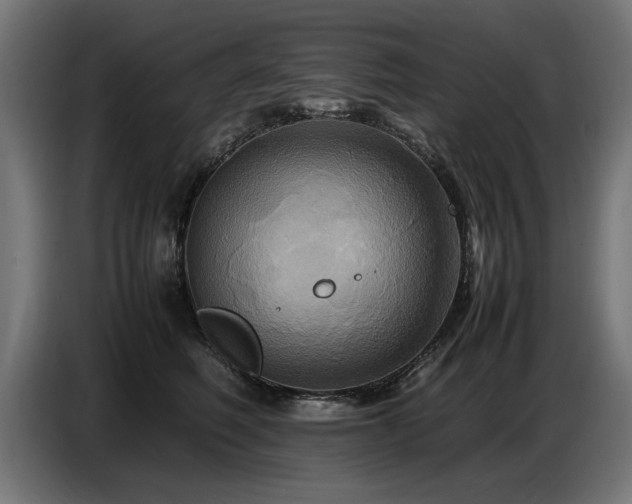 X0000087710614200705041059