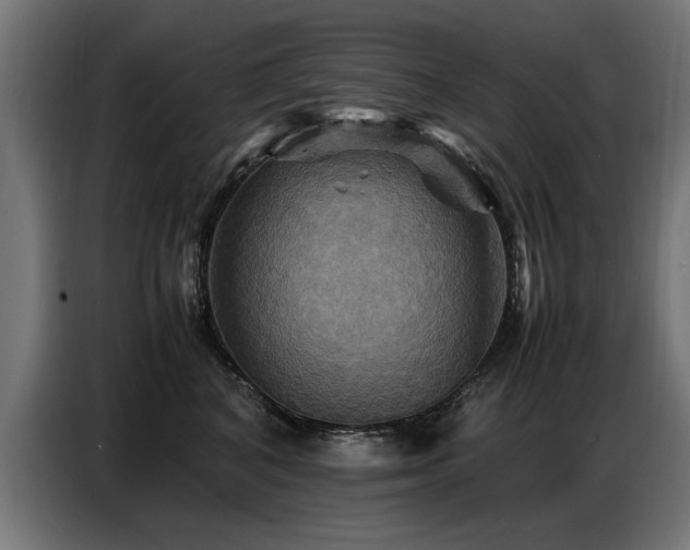 X0000087710616200705041059