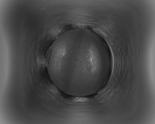 X0000087710617200705041059