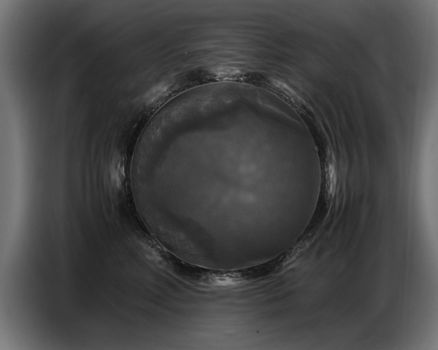 X0000087710618200705041059