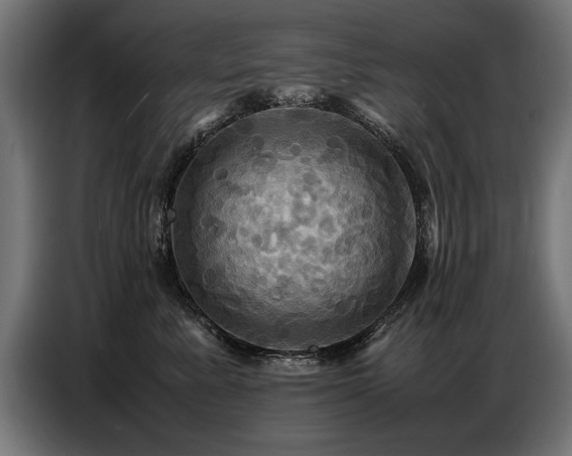X0000087710619200705041059