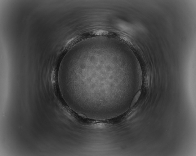 X0000087710620200705041059