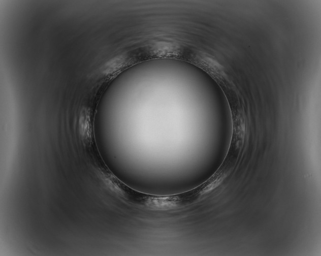X0000087710622200705041059