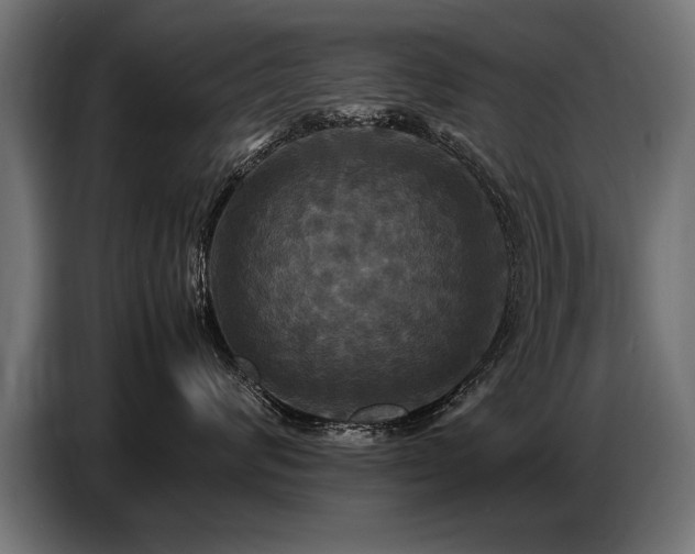 X0000087710624200705041059