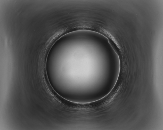 X0000087710625200705041059