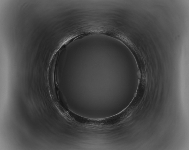 X0000087710626200705041059
