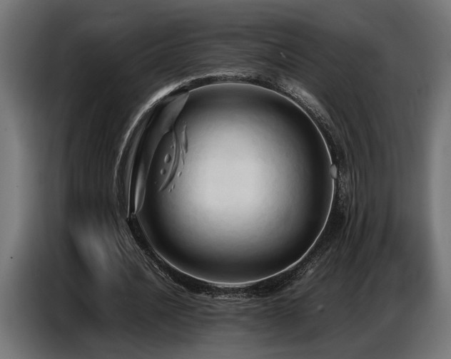 X0000087710628200705041059