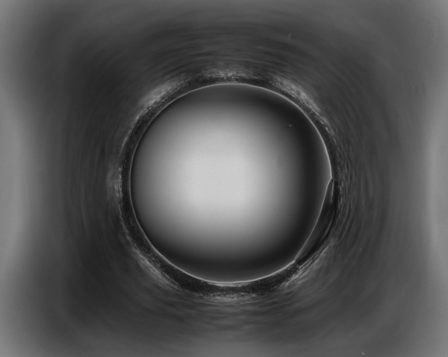 X0000087710629200705041059