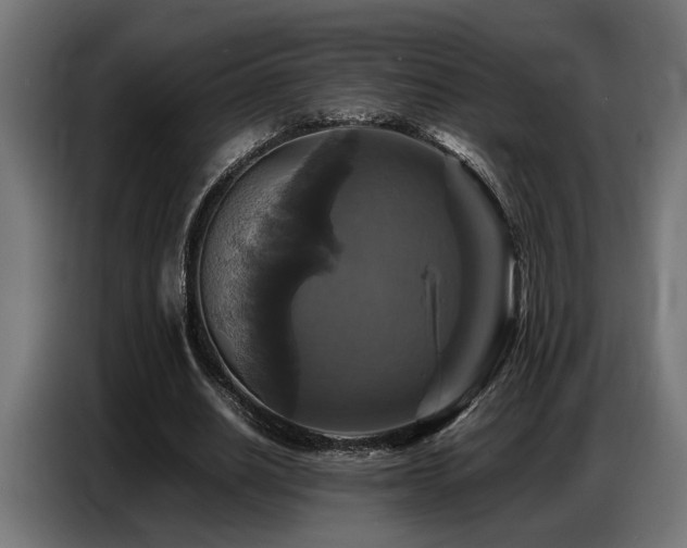 X0000087710630200705041059