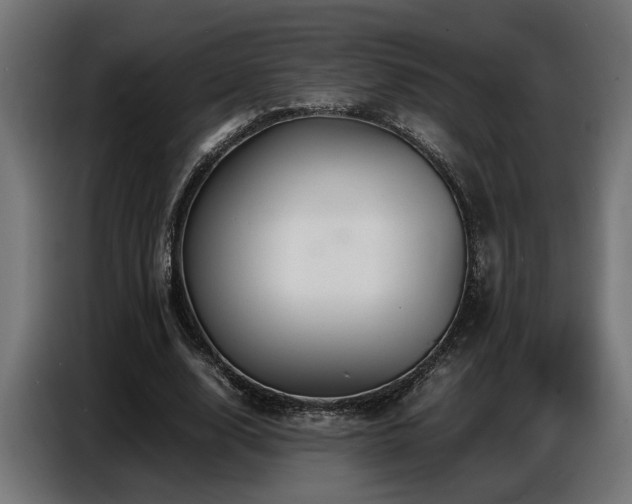X0000087710632200705041059