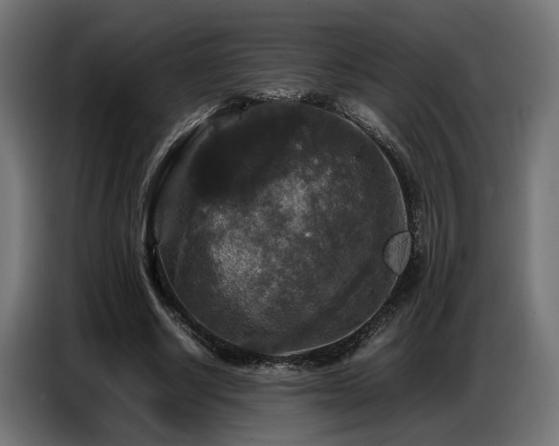 X0000087710634200705041059