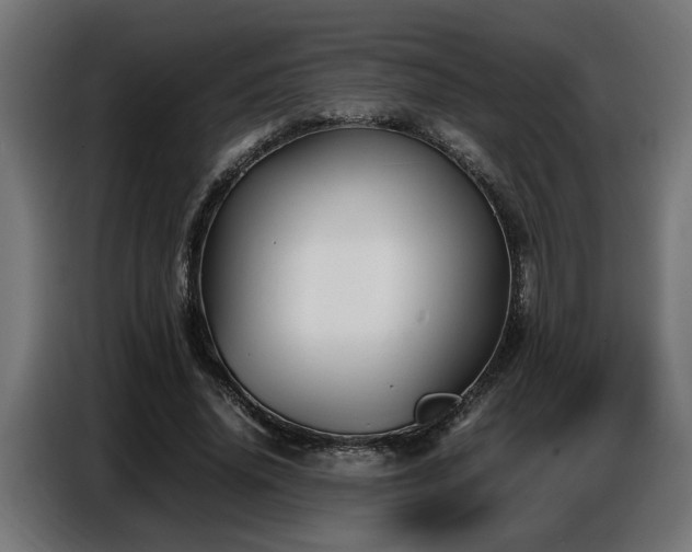 X0000087710636200705041059