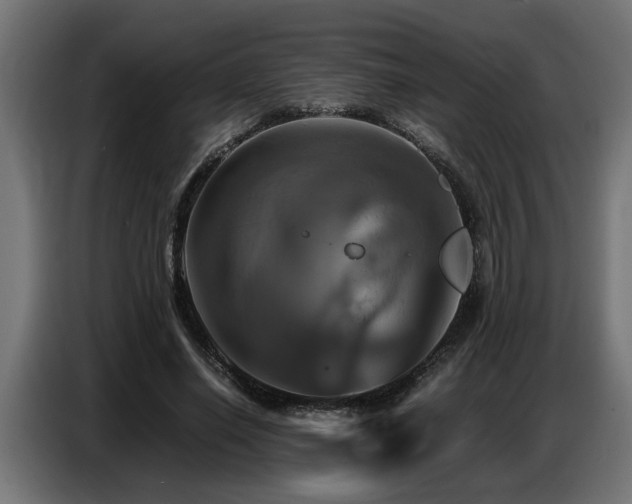 X0000087710638200705041059