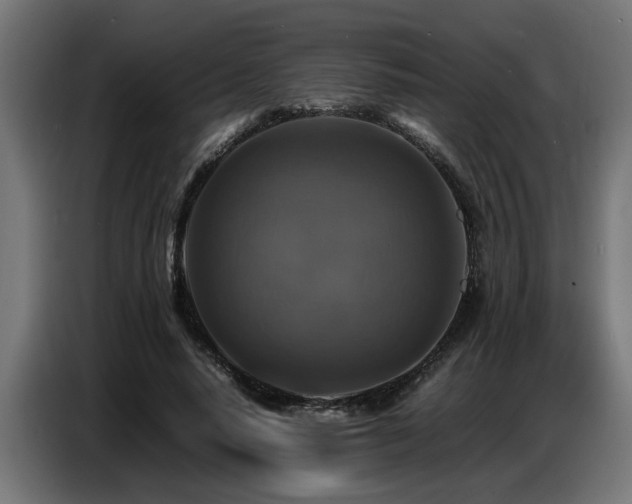 X0000087710640200705041059