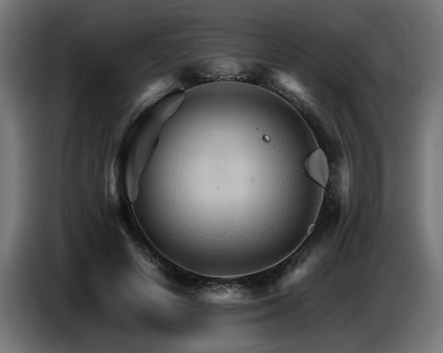 X0000087710642200705041059