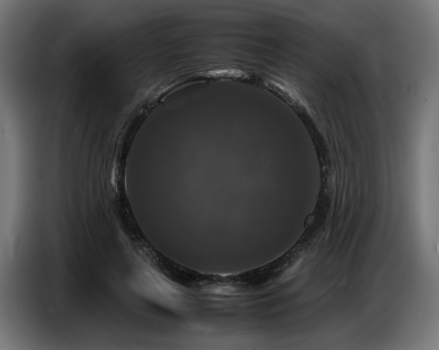 X0000087710643200705041059