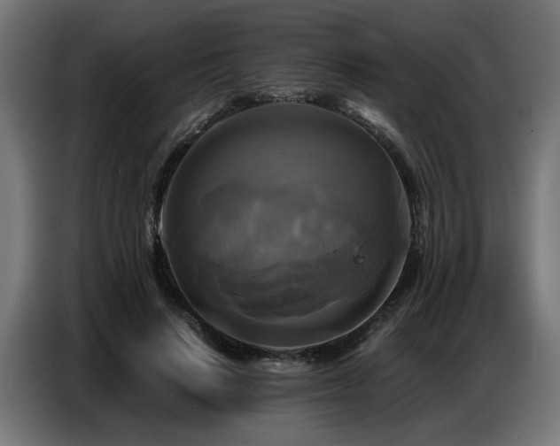 X0000087710644200705041059