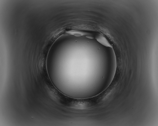 X0000087710645200705041059