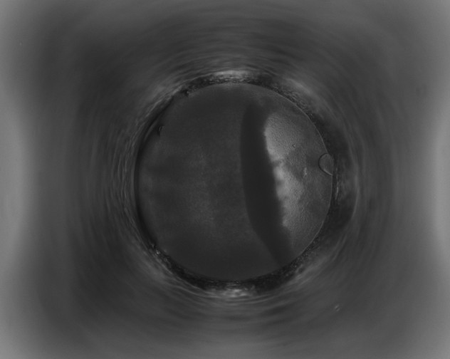 X0000087710647200705041059