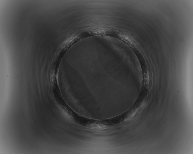 X0000087710648200705041059