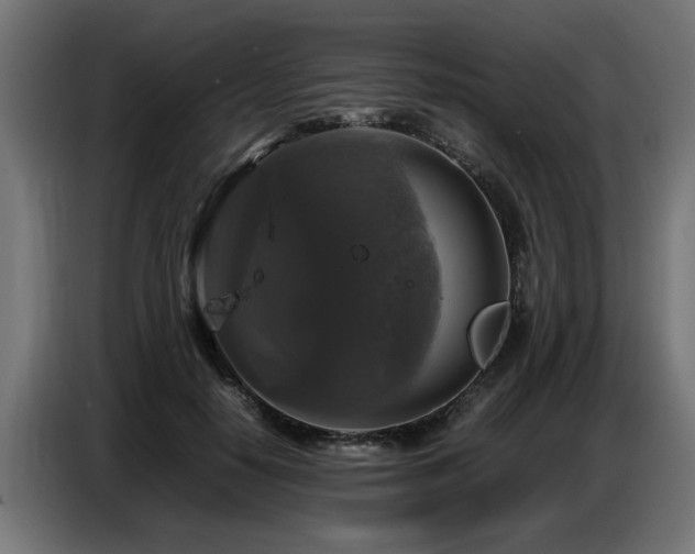 X0000087710650200705041059