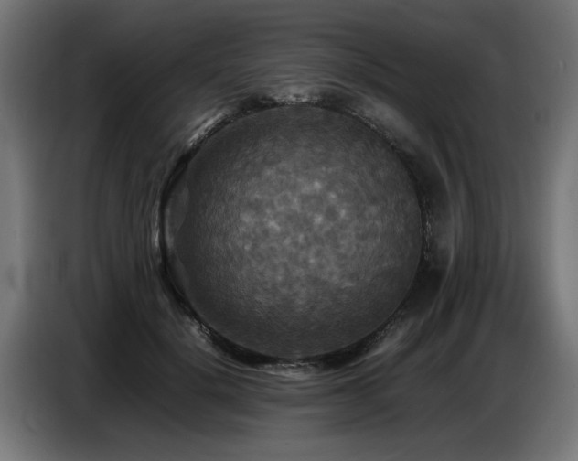 X0000087710652200705041059