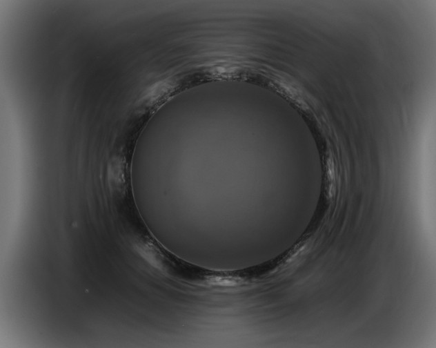 X0000087710654200705041059