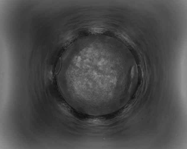 X0000087710655200705041059