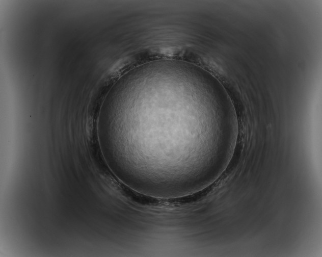 X0000087710656200705041059