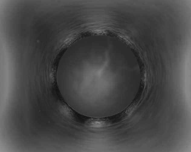 X0000087710658200705041059