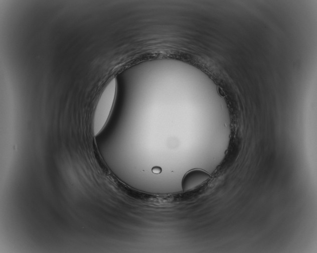 X0000087710660200705041059