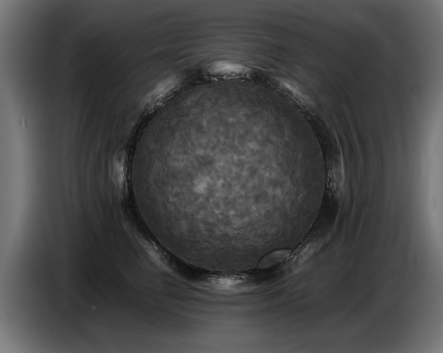 X0000087710662200705041059