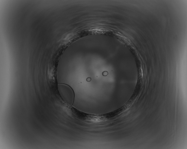 X0000087710663200705041059