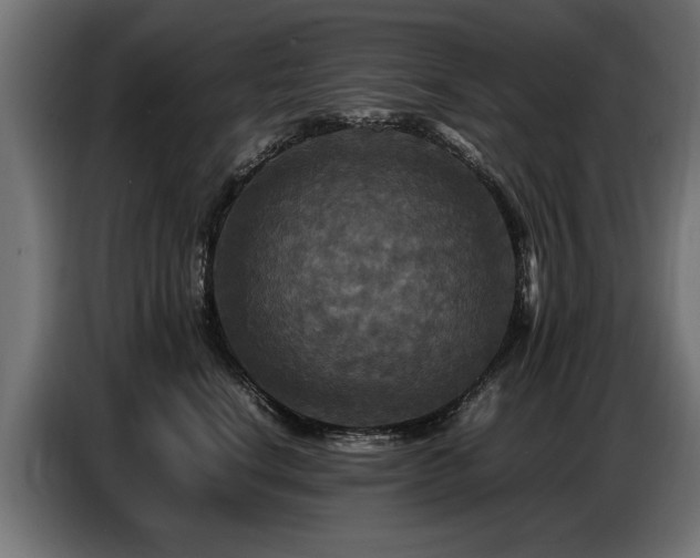 X0000087710664200705041059