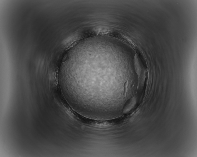 X0000087710666200705041059