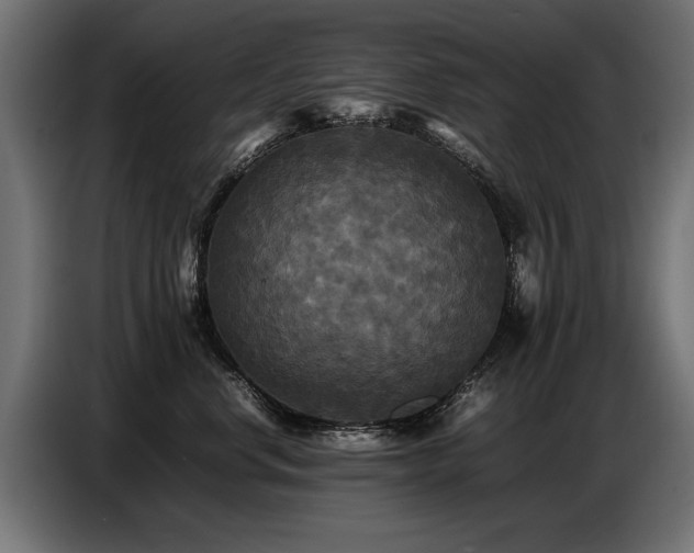 X0000087710668200705041059