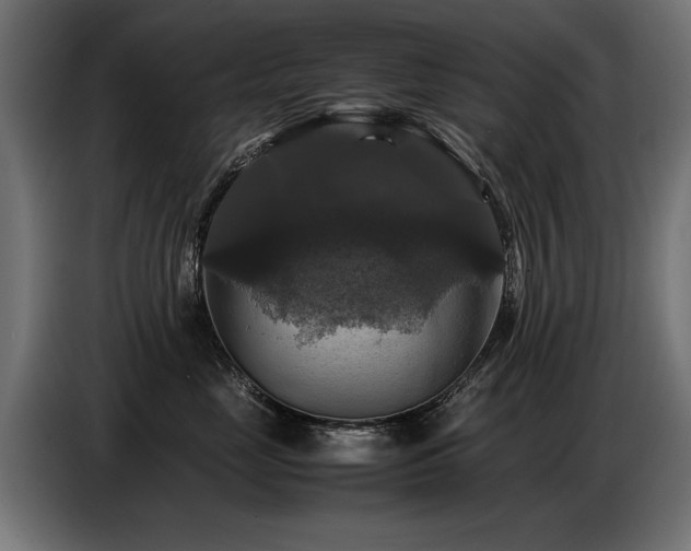 X0000087710669200705041059