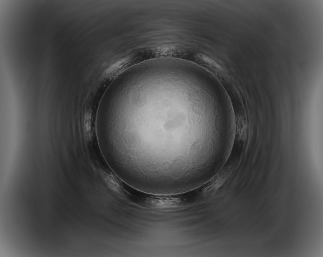 X0000087710670200705041059