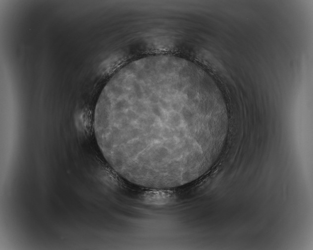 X0000087710672200705041059