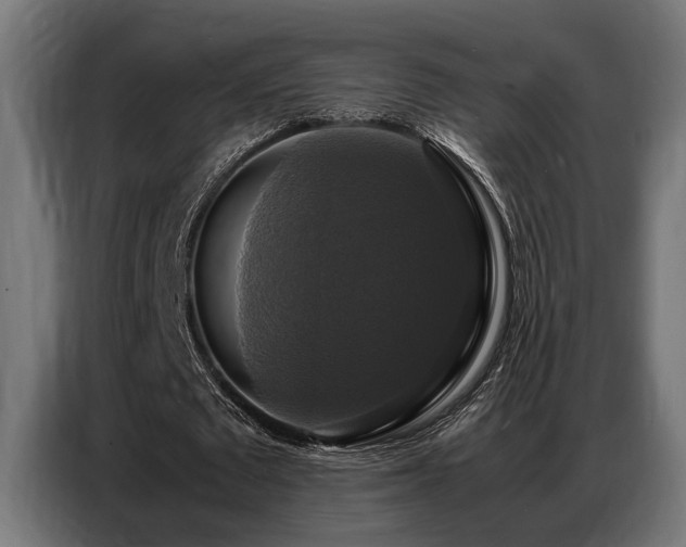 X0000087710673200705041059