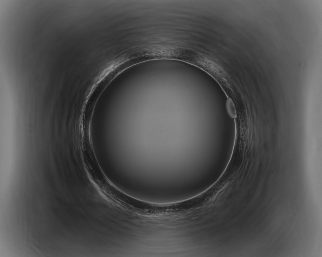X0000087710674200705041059
